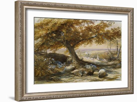 Sheep in the Shade, c.1851-Samuel Palmer-Framed Giclee Print