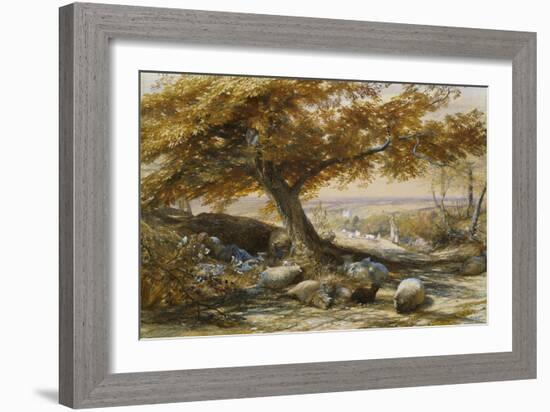 Sheep in the Shade, c.1851-Samuel Palmer-Framed Giclee Print