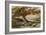 Sheep in the Shade, c.1851-Samuel Palmer-Framed Giclee Print