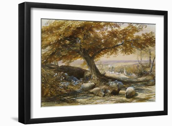 Sheep in the Shade, c.1851-Samuel Palmer-Framed Giclee Print