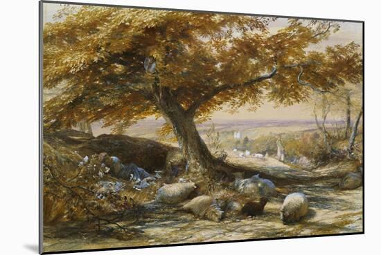 Sheep in the Shade, c.1851-Samuel Palmer-Mounted Giclee Print