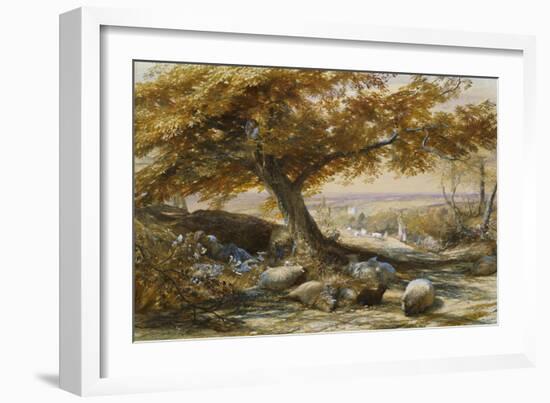 Sheep in the Shade, c.1851-Samuel Palmer-Framed Giclee Print