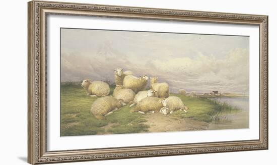 Sheep in the Water Meadows-Thomas Cooper-Framed Giclee Print