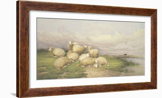 Sheep in the Water Meadows-Thomas Cooper-Framed Giclee Print