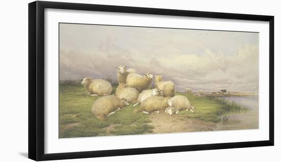 Sheep in the Water Meadows-Thomas Cooper-Framed Giclee Print