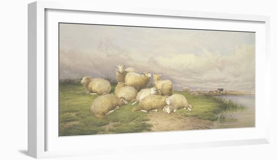 Sheep in the Water Meadows-Thomas Cooper-Framed Giclee Print