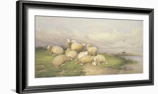 Sheep in the Water Meadows-Thomas Cooper-Framed Giclee Print