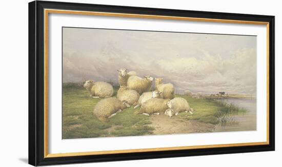 Sheep in the Water Meadows-Thomas Cooper-Framed Giclee Print