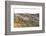 Sheep in the Wayside, List, Island Sylt, Schleswig-Holstein, Germany-Axel Schmies-Framed Photographic Print