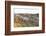 Sheep in the Wayside, List, Island Sylt, Schleswig-Holstein, Germany-Axel Schmies-Framed Photographic Print