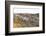 Sheep in the Wayside, List, Island Sylt, Schleswig-Holstein, Germany-Axel Schmies-Framed Photographic Print