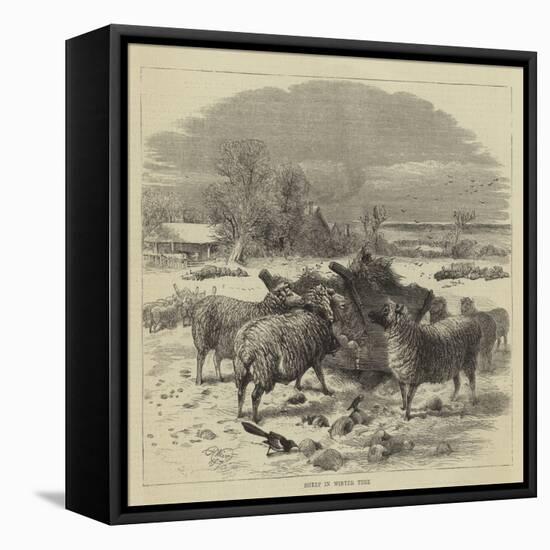 Sheep in Winter Time-Harrison William Weir-Framed Premier Image Canvas