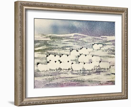 Sheep in Winter-Suzi Kennett-Framed Giclee Print