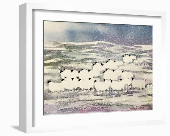 Sheep in Winter-Suzi Kennett-Framed Giclee Print