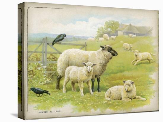 Stretched Canvas Print, , large