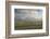 Sheep, Lighthouse of Westerhever (Municipality), Schleswig-Holstein, Germany-Rainer Mirau-Framed Photographic Print