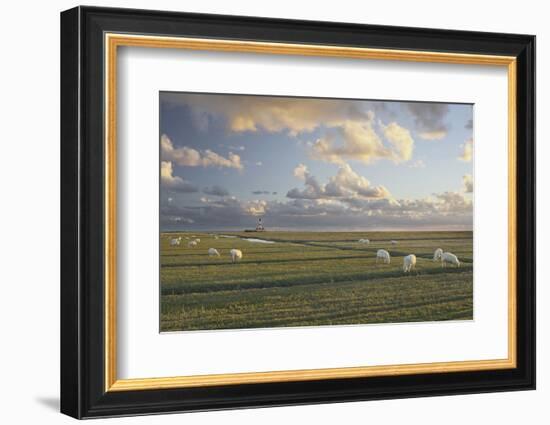 Sheep, Lighthouse of Westerhever (Municipality), Schleswig-Holstein, Germany-Rainer Mirau-Framed Photographic Print