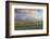 Sheep, Lighthouse of Westerhever (Municipality), Schleswig-Holstein, Germany-Rainer Mirau-Framed Photographic Print