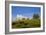 Sheep Near Athenry,County Galway, Ireland-null-Framed Photographic Print