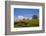 Sheep Near Athenry,County Galway, Ireland-null-Framed Photographic Print