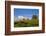 Sheep Near Athenry,County Galway, Ireland-null-Framed Photographic Print