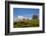 Sheep Near Athenry,County Galway, Ireland-null-Framed Photographic Print