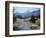 Sheep Nr. Mt. Cook, New Zealand-Peter Adams-Framed Premium Photographic Print