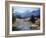 Sheep Nr. Mt. Cook, New Zealand-Peter Adams-Framed Photographic Print