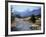 Sheep Nr. Mt. Cook, New Zealand-Peter Adams-Framed Photographic Print