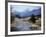 Sheep Nr. Mt. Cook, New Zealand-Peter Adams-Framed Photographic Print