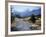 Sheep Nr. Mt. Cook, New Zealand-Peter Adams-Framed Photographic Print