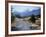 Sheep Nr. Mt. Cook, New Zealand-Peter Adams-Framed Photographic Print