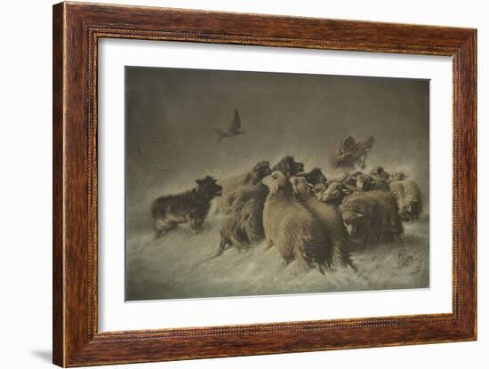 Sheep (Oil on Canvas)-German School-Framed Giclee Print