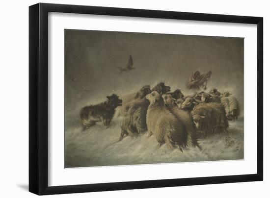 Sheep (Oil on Canvas)-German School-Framed Giclee Print