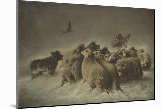 Sheep (Oil on Canvas)-German School-Mounted Giclee Print