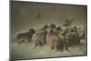 Sheep (Oil on Canvas)-German School-Mounted Giclee Print