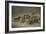 Sheep (Oil on Canvas)-German School-Framed Giclee Print