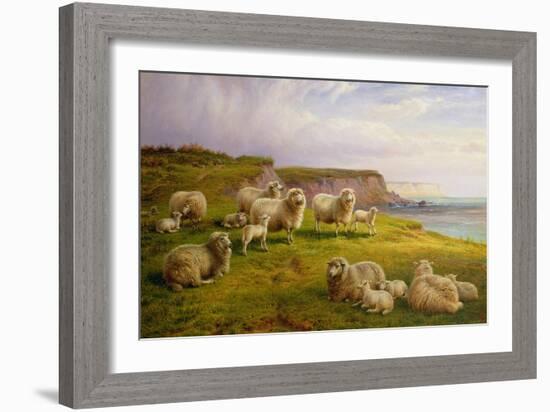 Sheep on a Dorset Coast-Charles Jones-Framed Giclee Print