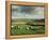 Sheep on Abney Moor on an Autumn Morning, Peak District National Park, Derbyshire, England-David Hughes-Framed Premier Image Canvas