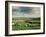 Sheep on Abney Moor on an Autumn Morning, Peak District National Park, Derbyshire, England-David Hughes-Framed Photographic Print