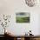 Sheep on Abney Moor on an Autumn Morning, Peak District National Park, Derbyshire, England-David Hughes-Photographic Print displayed on a wall