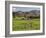 Sheep on Farmland, Near Tarras, Otago, South Island, New Zealand, Pacific-Jochen Schlenker-Framed Photographic Print