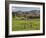 Sheep on Farmland, Near Tarras, Otago, South Island, New Zealand, Pacific-Jochen Schlenker-Framed Photographic Print