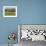 Sheep on Farmland, Near Tarras, Otago, South Island, New Zealand, Pacific-Jochen Schlenker-Framed Photographic Print displayed on a wall