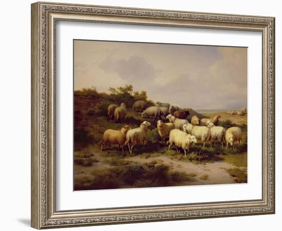 Sheep on the Coast, 1878 (Oil on Canvas)-Eugene Joseph Verboeckhoven-Framed Giclee Print