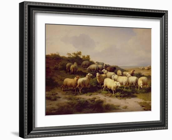 Sheep on the Coast, 1878 (Oil on Canvas)-Eugene Joseph Verboeckhoven-Framed Giclee Print