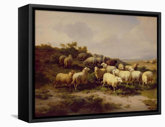Sheep on the Coast, 1878 (Oil on Canvas)-Eugene Joseph Verboeckhoven-Framed Premier Image Canvas