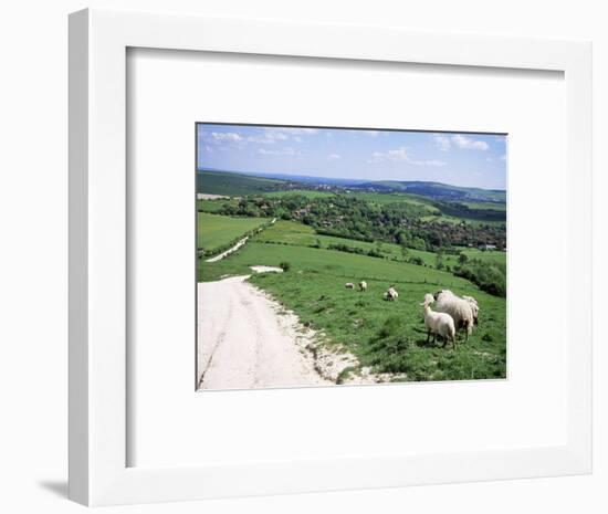 Sheep on the South Downs Near Lewes, East Sussex, England, United Kingdom-Jenny Pate-Framed Photographic Print