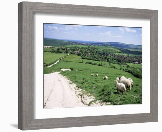 Sheep on the South Downs Near Lewes, East Sussex, England, United Kingdom-Jenny Pate-Framed Photographic Print