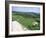 Sheep on the South Downs Near Lewes, East Sussex, England, United Kingdom-Jenny Pate-Framed Photographic Print